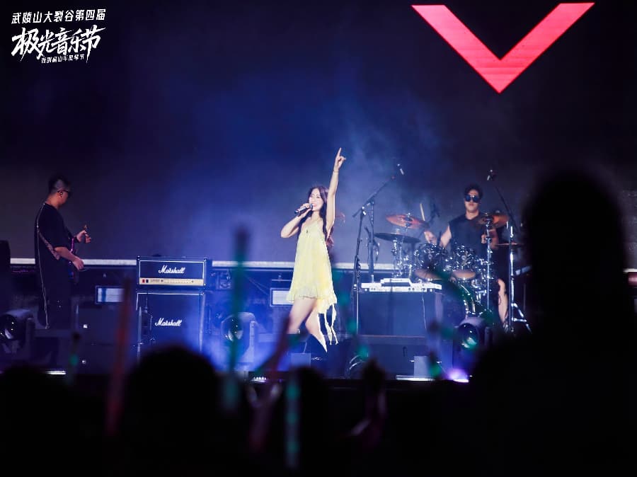 音樂節(jié)策劃公司 (23)